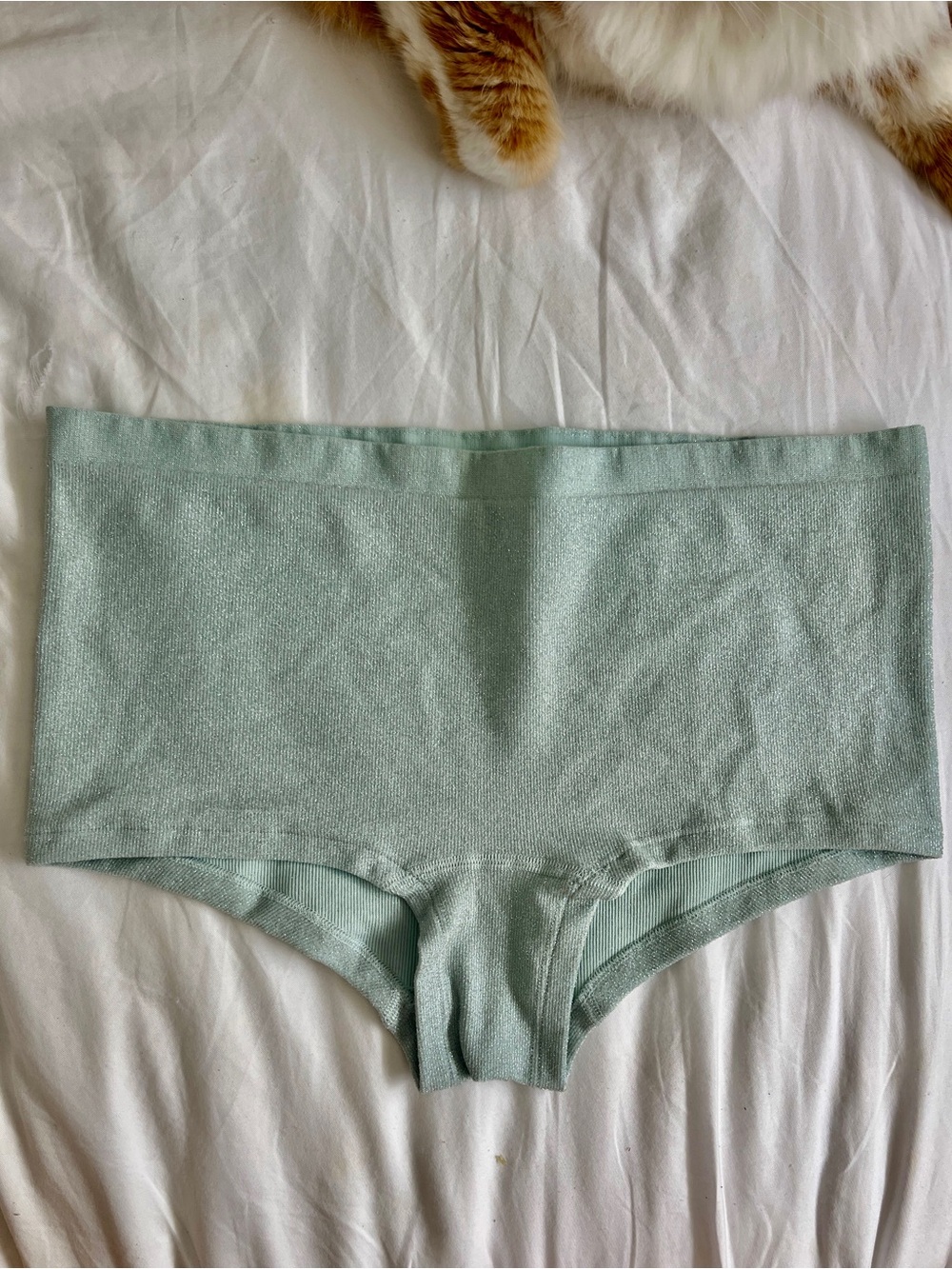 NWT By Anthropologie Seamless Lurex Hipster Briefs
